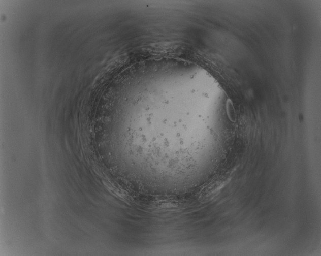 X0000074310913200608251231