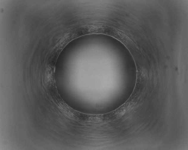 X0000074310914200608251232