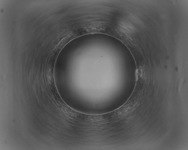 X0000074310915200608251232