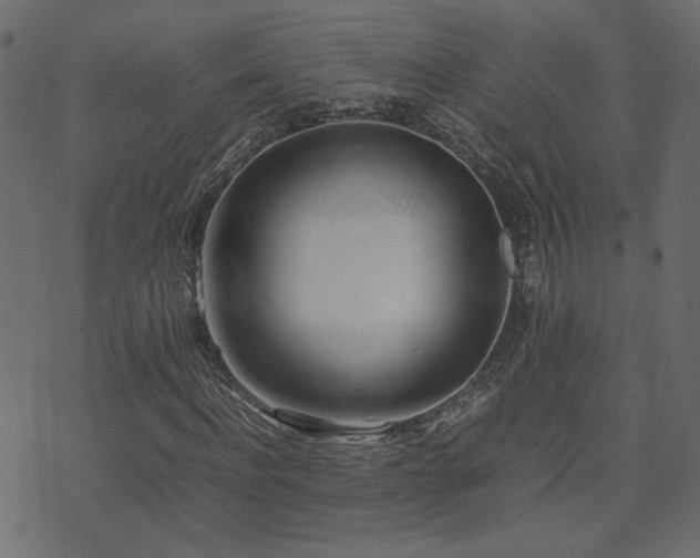 X0000074310916200608251232