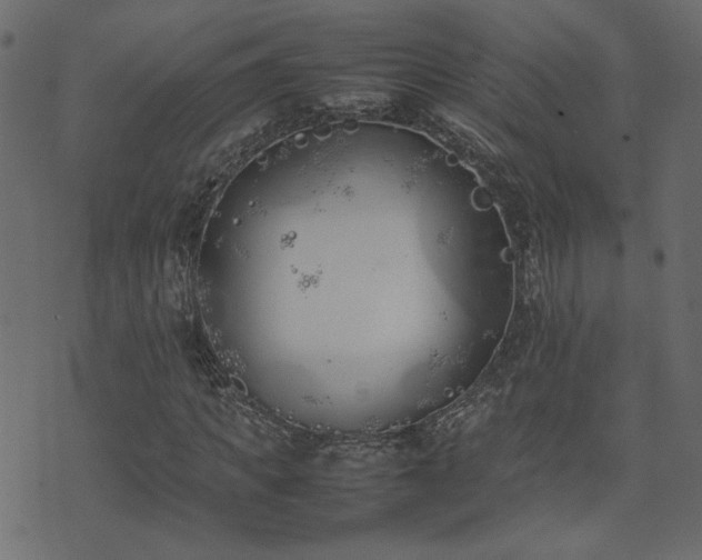 X0000074310917200608251232