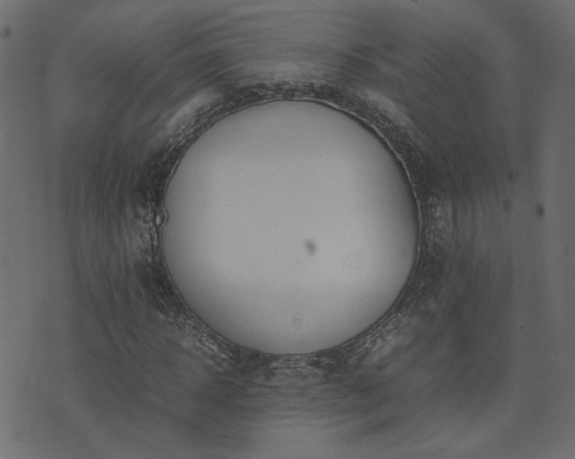 X0000074310918200608251232