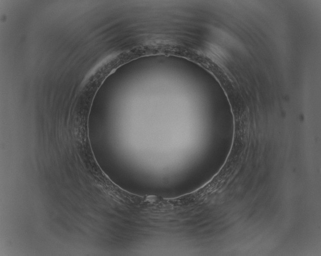 X0000074310919200608251232