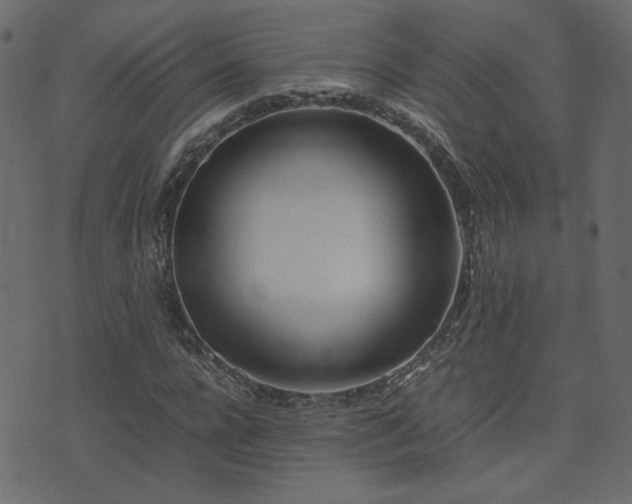 X0000074310920200608251232