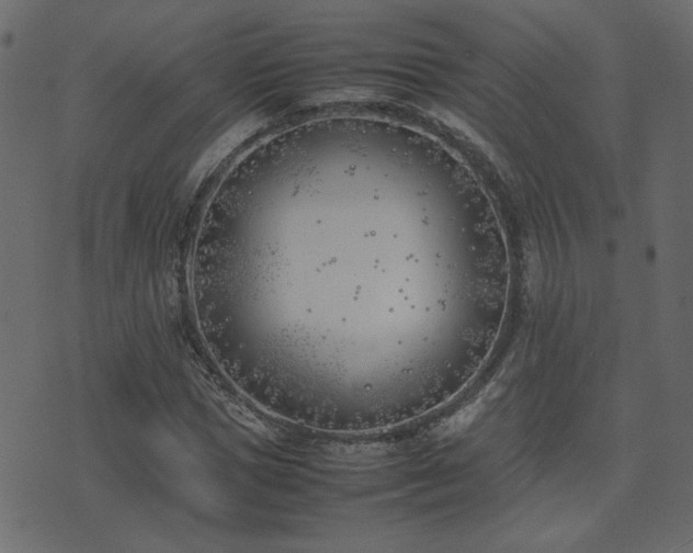 X0000074310921200608251232