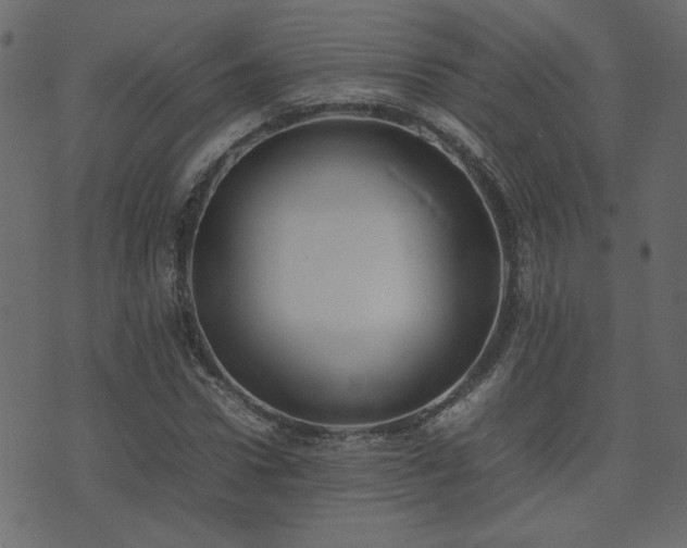 X0000074310922200608251232