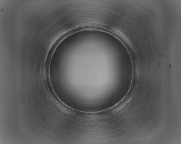 X0000074310924200608251232