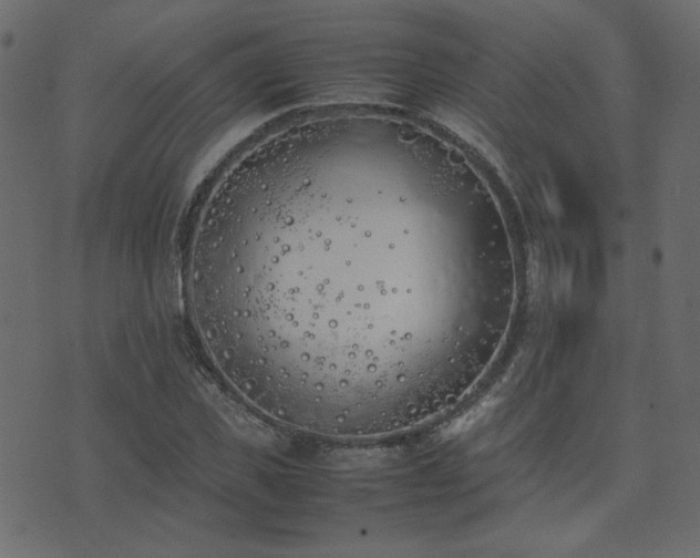 X0000074310925200608251232