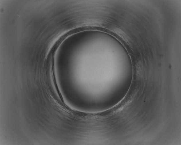 X0000074310926200608251232