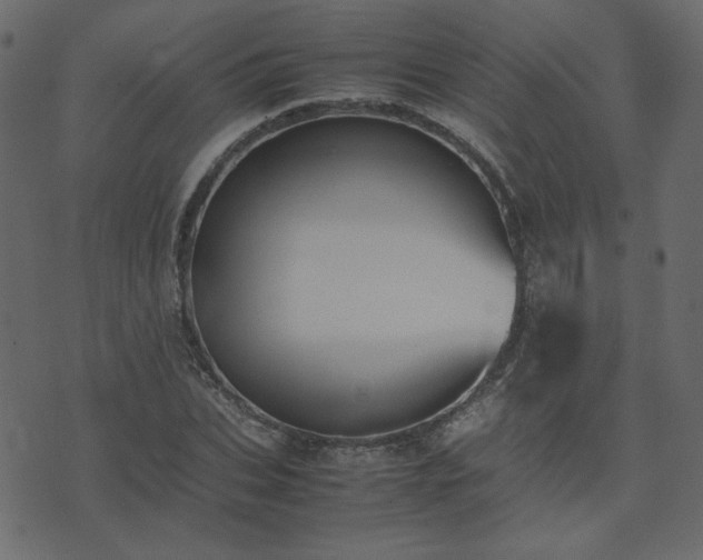 X0000074310927200608251232