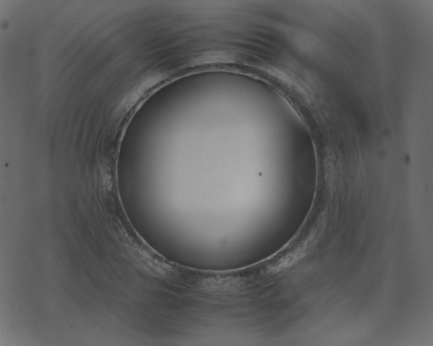 X0000074310929200608251232