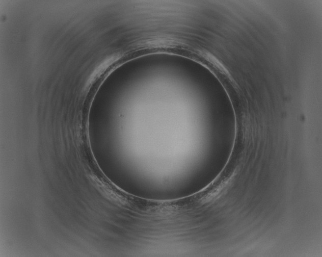 X0000074310930200608251232