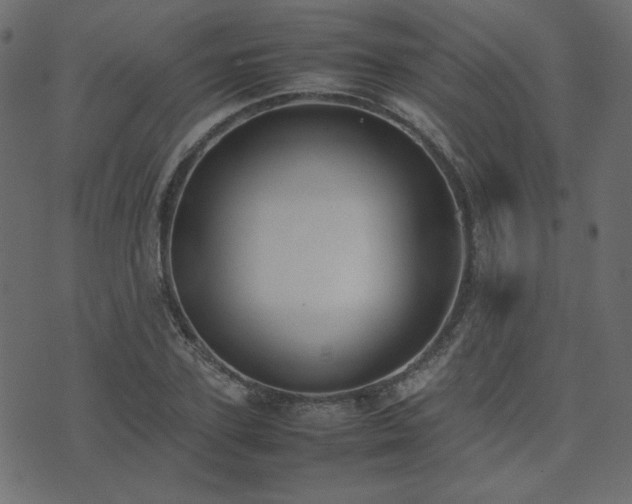 X0000074310931200608251232