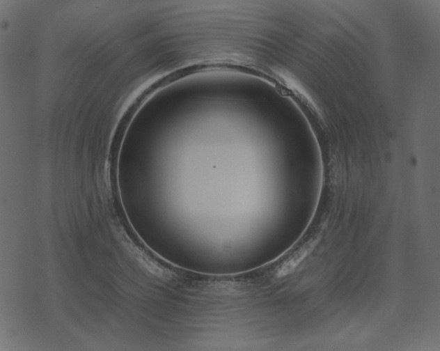 X0000074310932200608251232