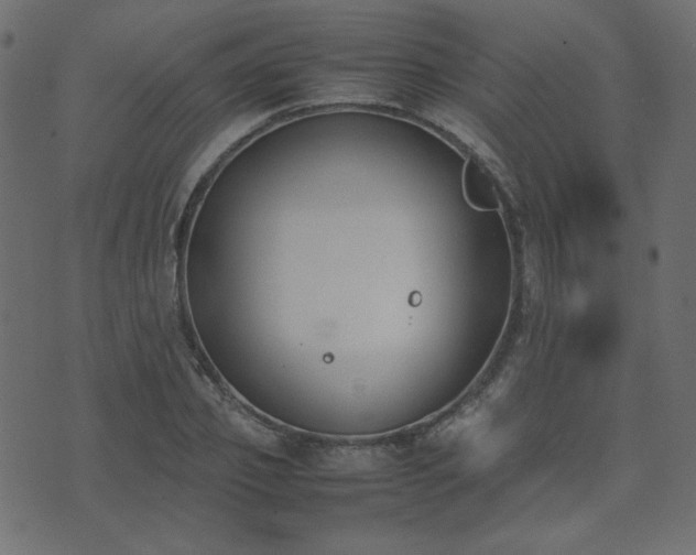 X0000074310933200608251232