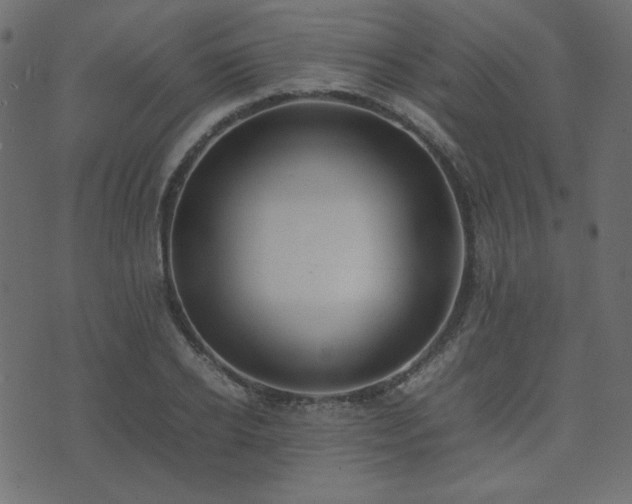 X0000074310934200608251232