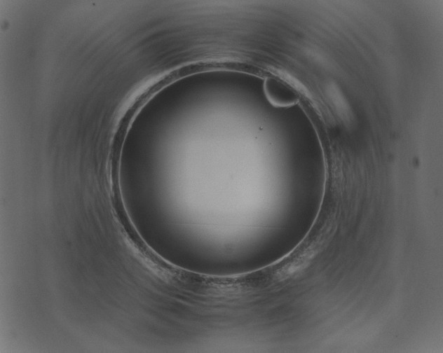 X0000074310935200608251232