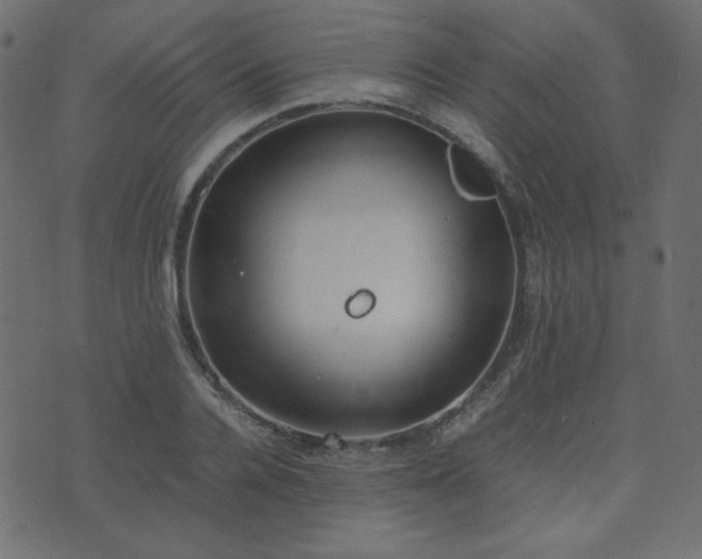 X0000074310936200608251232