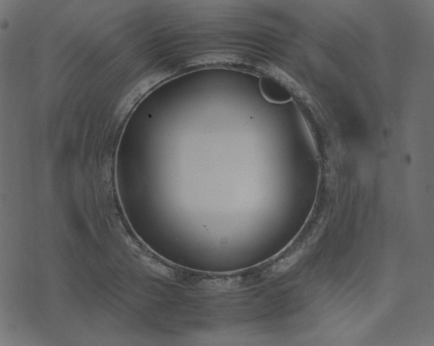 X0000074310937200608251232