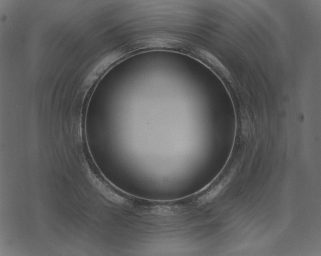 X0000074310938200608251232