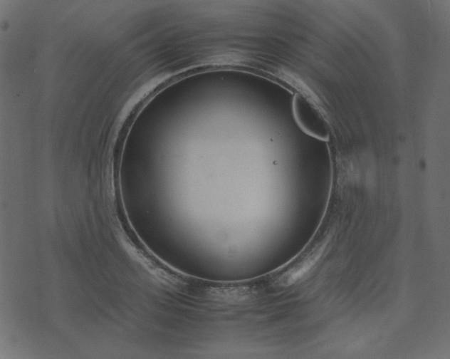 X0000074310939200608251232