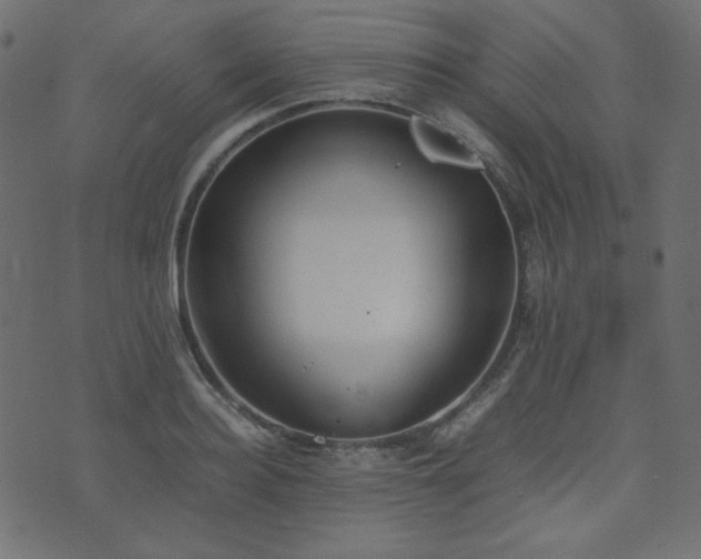 X0000074310940200608251232