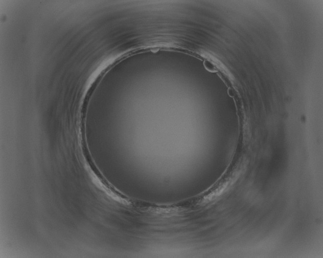 X0000074310941200608251232