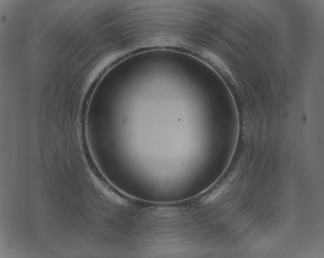 X0000074310942200608251232