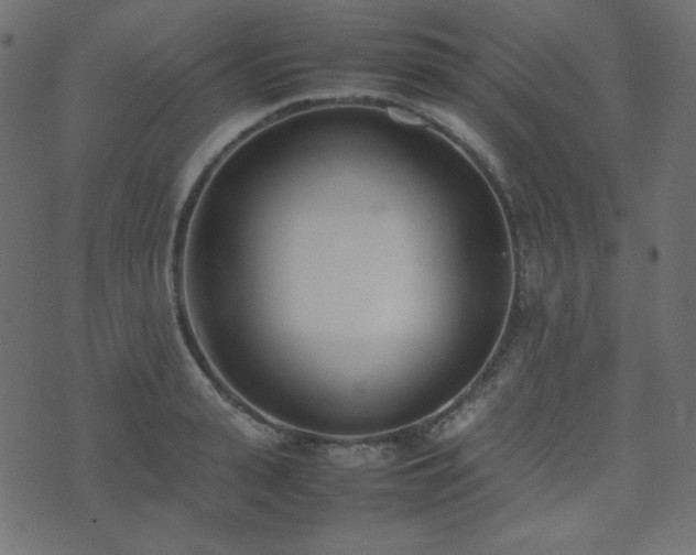 X0000074310943200608251232