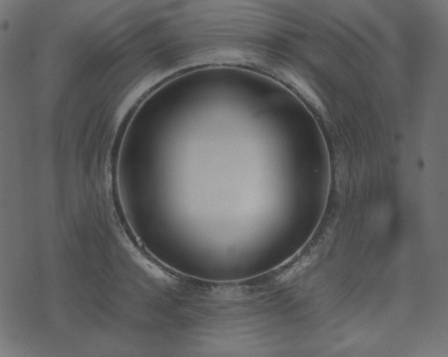 X0000074310944200608251232