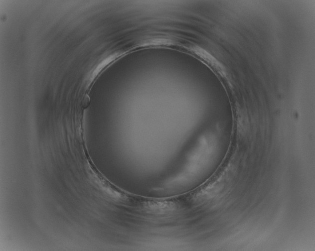 X0000074310945200608251232