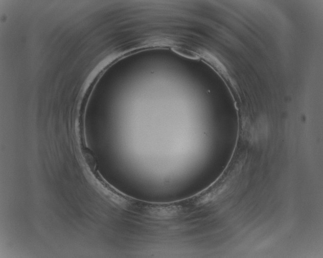 X0000074310947200608251232