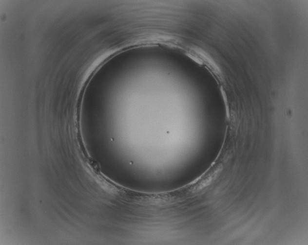 X0000074310948200608251232