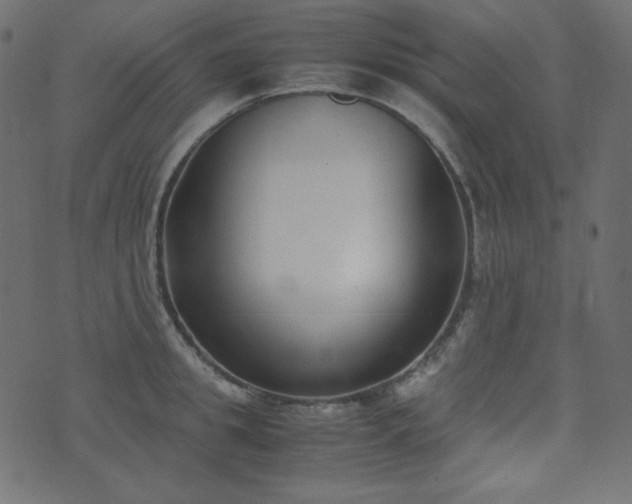 X0000074310949200608251232