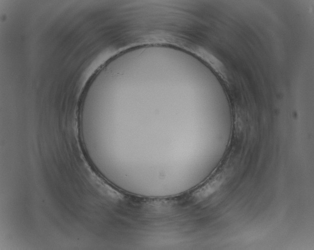 X0000074310950200608251232