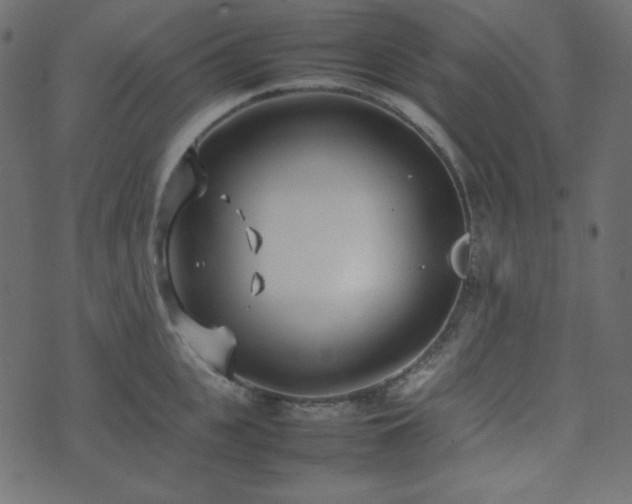 X0000074310951200608251232