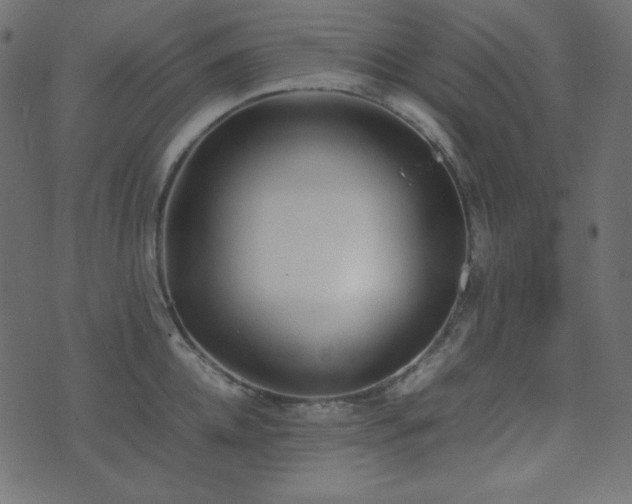 X0000074310952200608251232