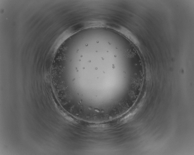 X0000074310953200608251232