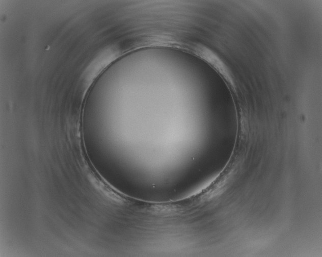 X0000074310954200608251232