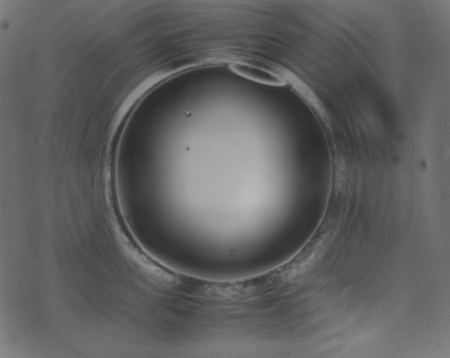 X0000074310955200608251232