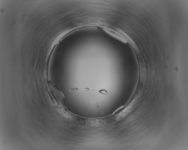 X0000074310956200608251232