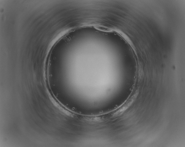 X0000074310957200608251232