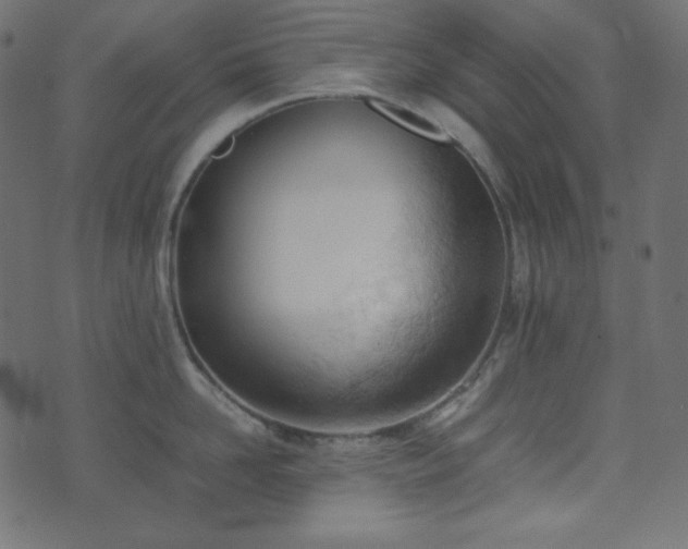 X0000074310958200608251232