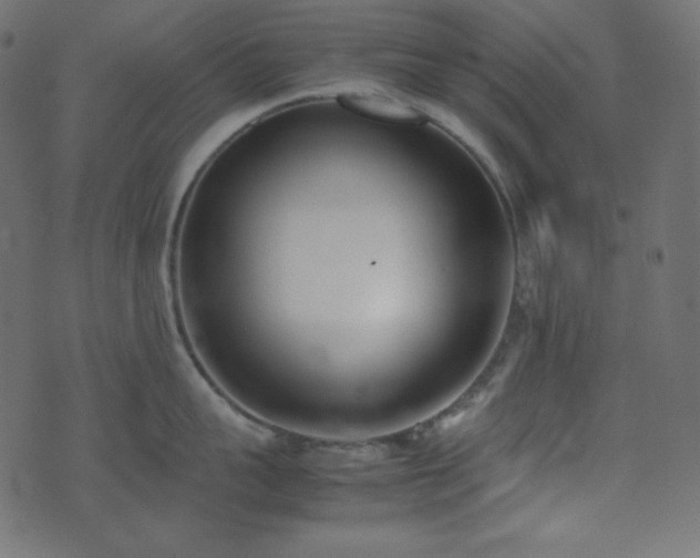 X0000074310959200608251232