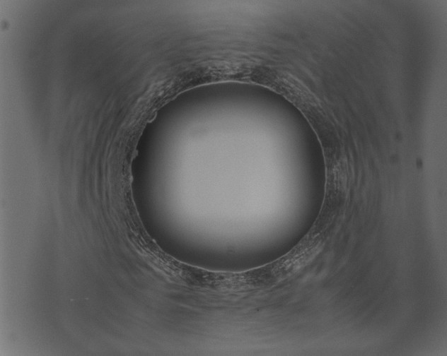 X0000074310961200608251231