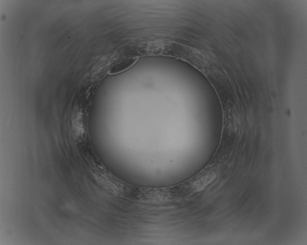 X0000074310962200608251231