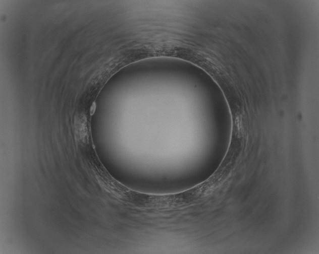 X0000074310963200608251231