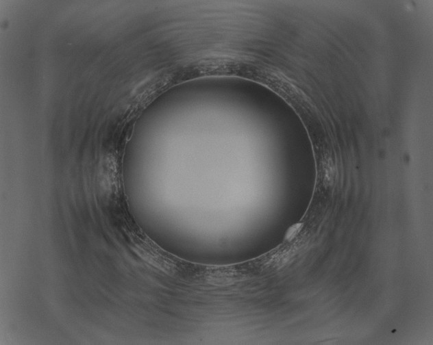 X0000074310964200608251231