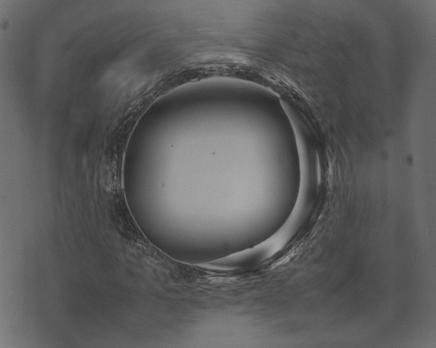 X0000074310965200608251231