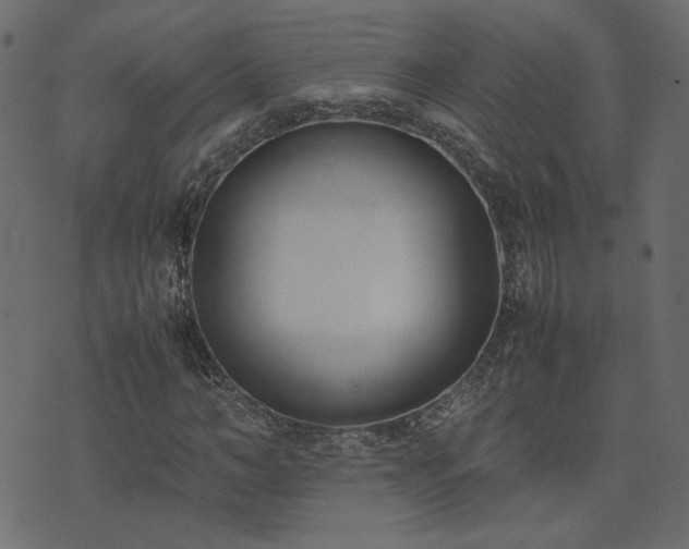 X0000074310966200608251231